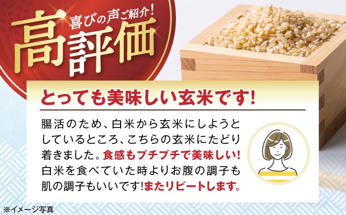  玄米 げんまい コシヒカリ こしひかり 米 5kg お米 ご飯 ごはん ゴハン 近江米 滋賀県産 長浜市産 こめ 玄米 