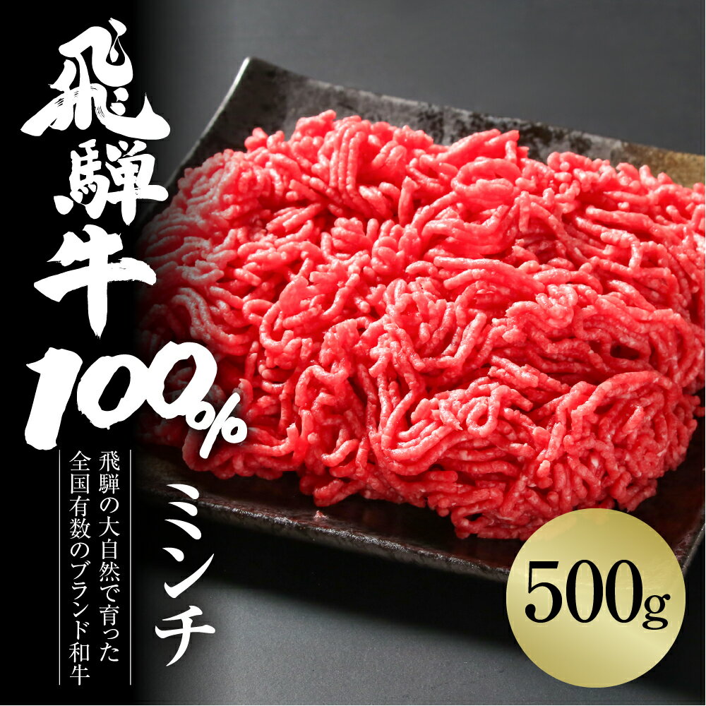 【ふるさと納税】飛騨牛 ミンチ 500g 冷凍真空パック 肉 お肉 肉じゃが ハンバーグ 麻婆豆腐 黒毛和牛 和牛 人気 おすすめ 牛肉 ギフト お取り寄せ 飛騨高山ミート [MZ039]