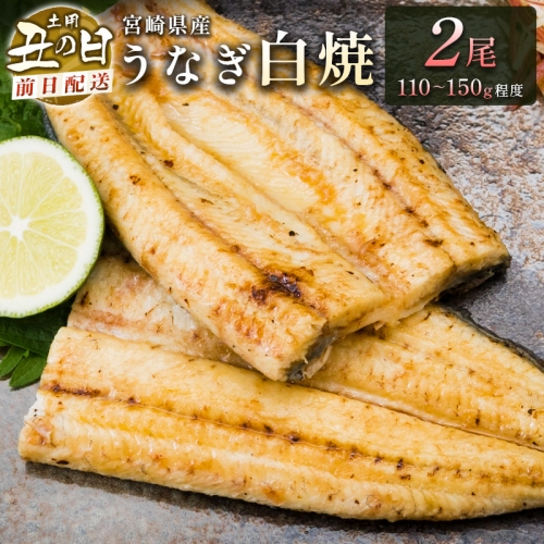 前日配送予約［土用丑の日］うなぎ白焼きギフト 2尾（110～150g/1尾あたり）宮崎県産鰻 蒲焼きタレ付（50ml×1本）【N43-B】