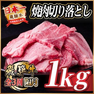 【2ヵ月毎定期便】飛騨牛 焼肉切り落とし 約1kg(約500g×2)タレ付き 訳あり全3回【配送不可地域：離島】【4084213】