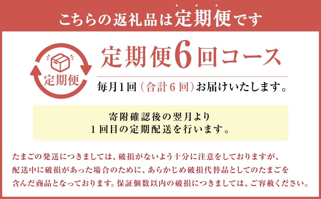 【定期便6回】球磨球子 80個×6回 合計480個 鶏卵 卵 玉子 たまご くまたまご