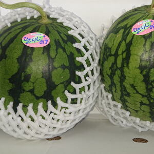 【産地直送】和歌山産小玉すいか「ひとりじめ7(セブン)」2玉入り　3.5kg以上※2024年6月下旬から順次発送【tec501】