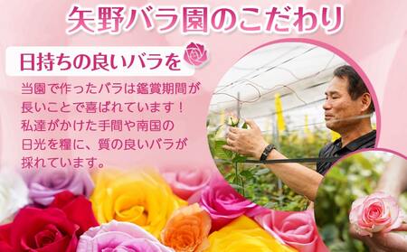 【母の日】バラのアレンジメント20本(赤)≪5月7日～10日お届け≫_17-3305-MG_(都城市) フラワーアレンジメント バラ20本と季節の花 カスミソウ ブルーファンタジア スイートピーなど 