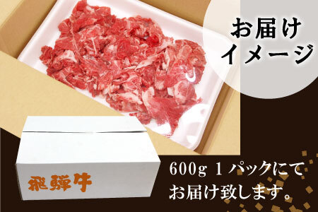 【4月お届け】飛騨牛 切り落とし 600g 牛肉 和牛 肉 切落し ブランド牛 国産 10000円