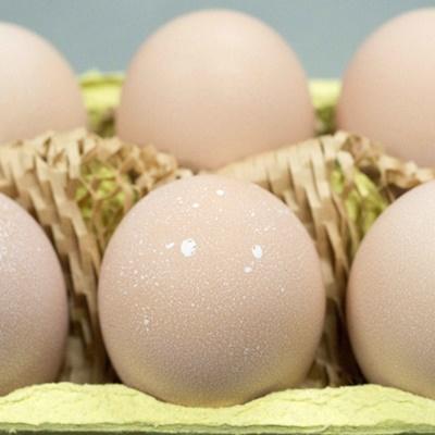 ふるさと納税 阿賀野市 【あずさと四種の地鶏詰め合わせ】あじわいたまごセット 卵 たまご 地鶏 |  | 02