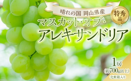 
            ぶどう 2026年 マスカット・オブ・アレキサンドリア 特秀品 1房（1房700g以上）化粧箱入り マスカット 岡山県産 国産 フルーツ 果物 ギフト
          