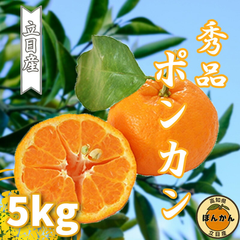 【 ふるさと納税 】 早期予約 ぽんかん 5kg 秀品 立目産 サイズ混合 ブランド 立目 柑橘 2026年 1月 中旬 順次発送 みかん 果物 フルーツ 冬 期間限定 蜜柑 贈答用 ギフト プレゼント 贈答 ふるさと納税 高知県 須崎市