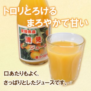 オレンジ ジュース 清見オレンジ 720ml × 4本 オレンジ みかん 柑橘 果汁 100% 贈答 ギフト オレンジ みかん 柑橘  かんきつ 愛媛 みかん 蜜柑 ゼリー 寒天 オレンジ みかん 柑