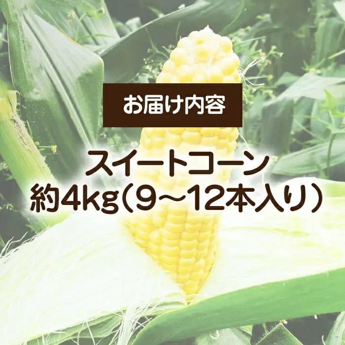 【先行予約】スイートコーン 約4kg 9-12本 [VBC001] 野菜 コーン とうもろこし