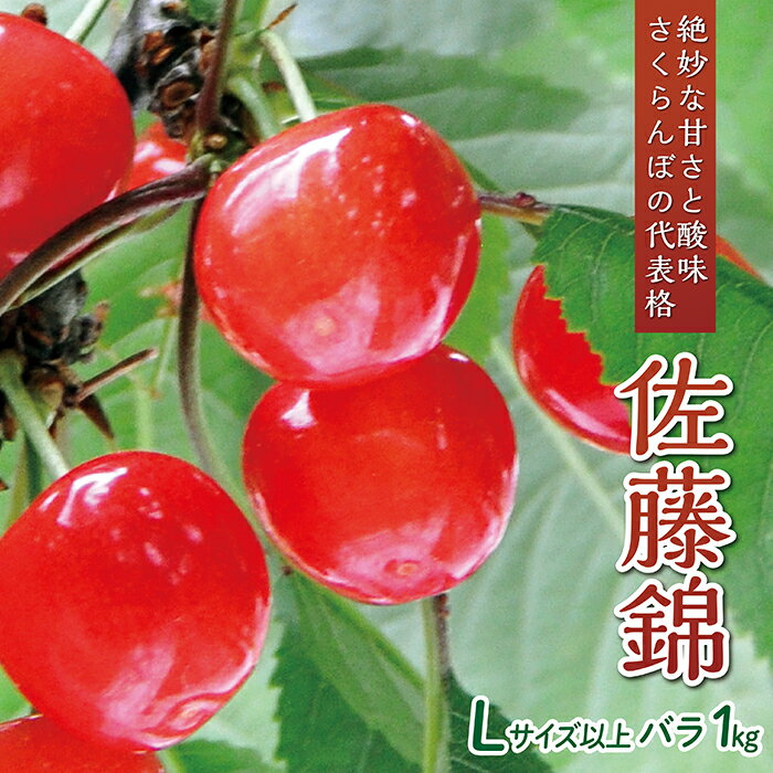 【ふるさと納税】 【令和7年産予約】さくらんぼ「佐藤錦」Lサイズ以上　バラ1kg