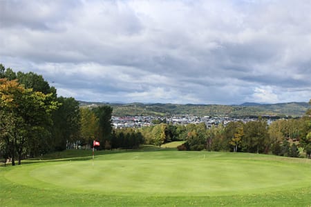 平日セルフ（ペア）プレー券（乗車カート付き）