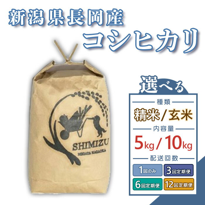 【ふるさと納税】令和7年産 米 定期便 5kg 10kg 新潟 コシヒカリ お米 選べる 精米 白米 玄米 1回 3回 6回 12回 3ヶ月 6ヶ月 12ヶ月 新潟こしひかり 新潟県長岡産コシヒカリ（さごえん）