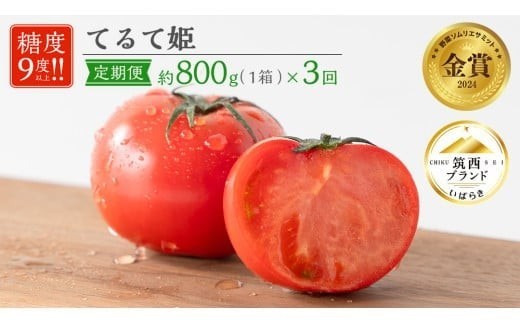 【 先行予約 】【 3ヶ月 定期便 】トマト てるて姫 小箱 約800g × 1箱 【7～13玉/1箱】 2027年産 糖度9度 以上 野菜 フルーツトマト フルーツ トマト とまと 関東 茨城 筑西