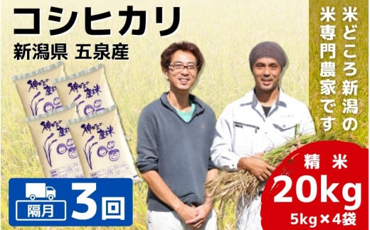 【令和6年産新米先行予約】 〈隔月3回定期便〉 「わくわく農場」の五泉産 精米 コシヒカリ 20kg(5kg×4袋) 新潟県 五泉市 わくわく農場 ［2024年10月中旬以降順次発送］