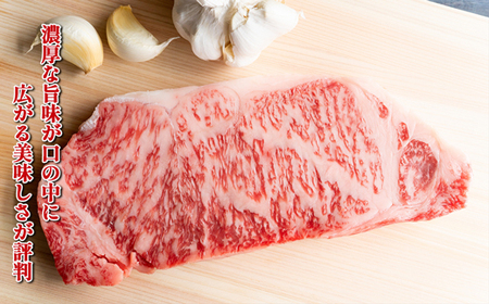 【お肉定期便】博多和牛サーロインステーキ5回定期便（500g×5回）計2.5kg[H0128T5]