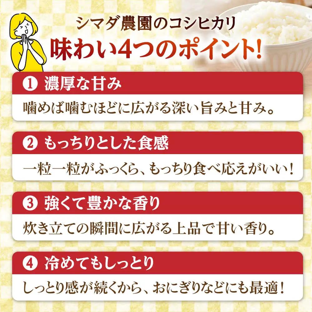 【令和7年産】真空パック 福井県産こしひかり 300g(約2合) × 10パック 計3kg 小浜市 / シマダ農園 [BFAV004]