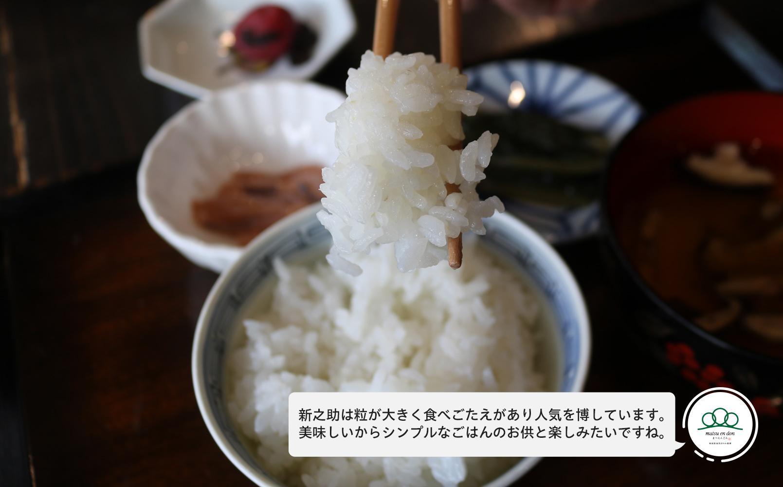 【令和8年産新米予約】精米10kg 南魚沼産新之助（5kg×2袋）・農家直送_AG【銘柄米 ブランド米 精米 新之助 魚沼産 新潟米 産地直送 お米 米 こめ コメ ご飯 御飯 ごはん】【令和8年10月中旬から1ヶ月以内に順次発送予定予定】