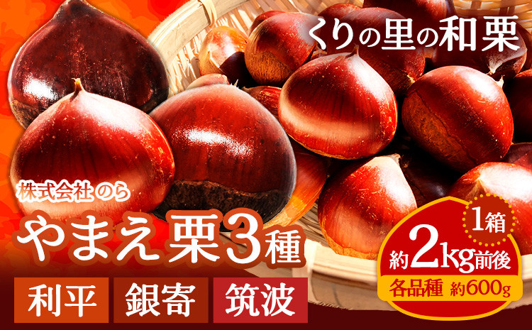 
                  GI認証登録 やまえ栗3種食べ比べセット 生栗 1箱 約2kg前後 利平・銀寄・筑波 各品種 約600g 株式会社のら のらしごと人《9月下旬-10月中旬頃出荷》熊本県 球磨郡 山江村 栗 くり フルーツ 熊本県産 果物
                