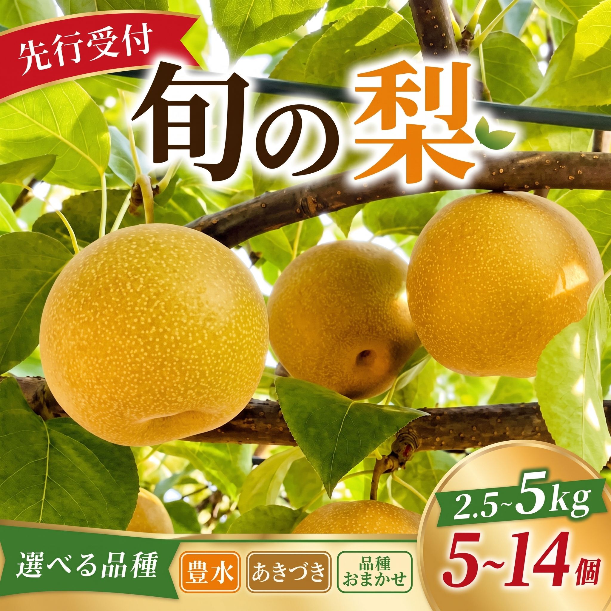 【ふるさと納税】 梨 選べる品種 豊水 / あきづき / おまかせ 選べる内容量 約 2.5kg ～ 5kg なし 品種おまかせ 旬の品種 甘い 旬 果物 果肉 幸水 秋月 ほうすい こうすい 糖度 にっこり 2026年発送くだもの 果物 フルーツ 旬の果物 旬のフルーツ 産地 千葉県 旭市 まる吉園