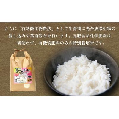 ふるさと納税 玖珠町 《先行受付》令和7年度産 原さんちのお米 4kg 6回定期便 品種おまかせ |  | 02