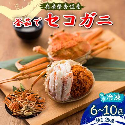 ふるさと納税 養父市 【先行予約】兵庫県香住産 釜茹でセコガニ6〜10匹入(約1.2kg)〈冷凍発送〉