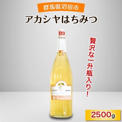 ふるさと納税 沼田市 アカシヤはちみつ　2500g