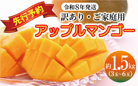 マンゴー【訳あり・ご自宅用】期間限定予約（約1.5kg）【2026年発送】まんごー mango