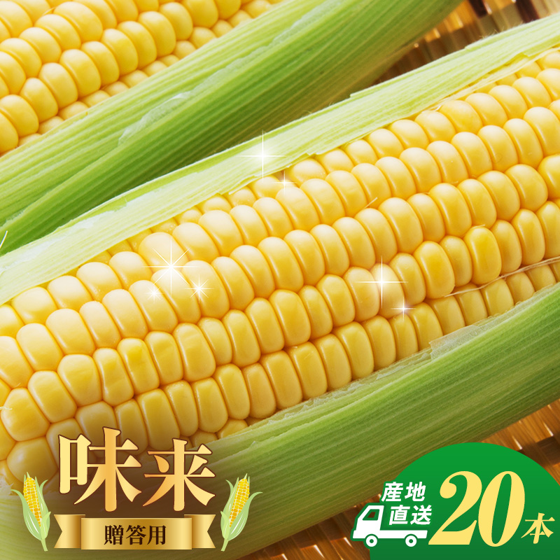とうもろこし 味来 贈答用 20本 トウモロコシ 宮城県産 甘い 夏 朝採れ 産地直送 宮城県 大河原町