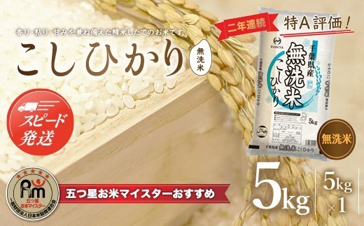 【最短2～7営業日出荷】令和7年産 2年連続特A評価!千葉県産コシヒカリ5kg無洗米（5kg×1袋） ふるさと納税 無洗米 5kg 千葉県産 大網白里市 コシヒカリ お米 米 こめ 送料無料 E008