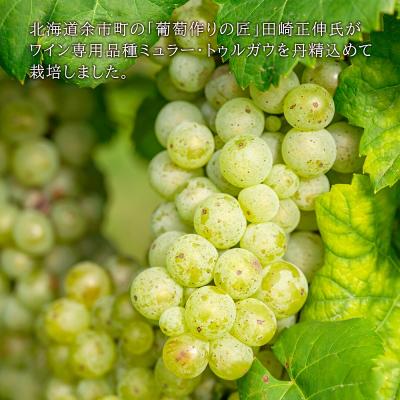 ふるさと納税 余市町 <葡萄作りの匠 田崎正伸>ミュラートゥルガウ 750ml_Y020-0391 |  | 02