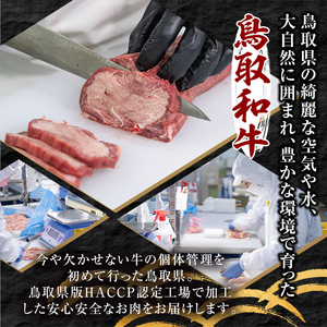 A5鳥取県産黒毛和牛ヒレステーキ(5枚) 国産 鳥取和牛 黒毛和牛 牛肉 赤身 ヒレ ステーキ 【sm-DH005】【カタセイ】