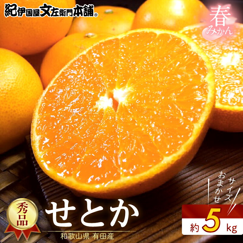 【ふるさと納税】【2027年先行予約】せとか 秀品 約5kg 和歌山県有田産 春みかん 春柑橘 (果実サイズおまかせ) /紀伊国屋文左衛門本舗