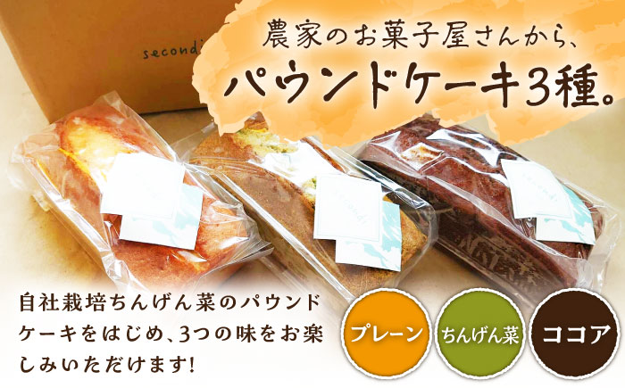 【3回定期便】自家製野菜も使用 パウンドケーキ 3種セット ( チンゲン菜 ココア プレーン ) /おかわりのうえん [UDD010]