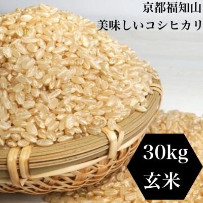ふるさと納税 福知山市 【令和7年産】京都 福知山産こしひかり 玄米30kg 一般には流通していない特別なお米です。