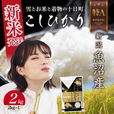 ふるさと納税 十日町市 【令和8年産 新米】 新潟県 魚沼産 コシヒカリ 2kg (お米の美味しい炊き方ガイド付き)