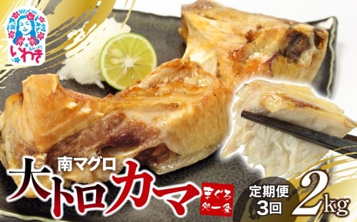 【定期便/計3回】南マグロ大トロカマ2kg（計6kg）|加熱用 選べる 回数 定期便 ｜ 冷凍 塩焼き 煮付け まぐろ 鮪 マグロ 焼き魚 高級種 希少部位