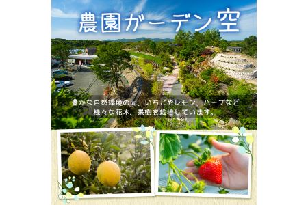 農園ガーデン空楽園のジェラートセット(90ml×6個) ジェラート アイス いちご いちごミルク レモン ブルーベリー 不知火 抹茶 デザート スイーツ おやつ 夏 鹿児島 バラエティ【農園ガーデン空