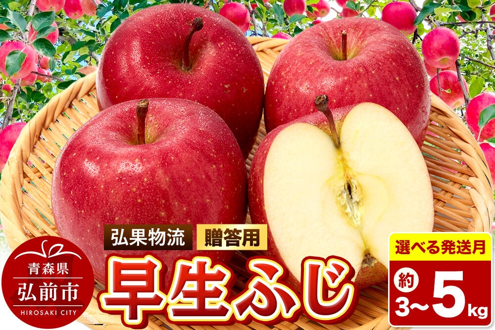 
                  りんご【選べる発送月 26年9月／10月】早生ふじ【贈答用】【選べる約 3kg／5kg】青森県 弘前市 [早生ふじ りんご 贈り物 贈答用 お歳暮 お中元 ギフト 5キロ アップル おいしい 果実 果物 詰め合わせ セット 赤色 美味]
                