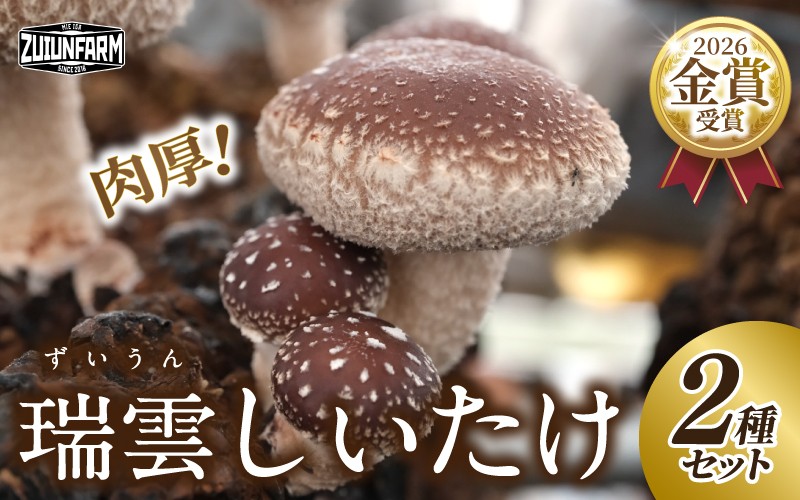 
                  瑞雲しいたけ2種セット／2026年10月～2027年2月上旬頃お届け【zufm0002】
                