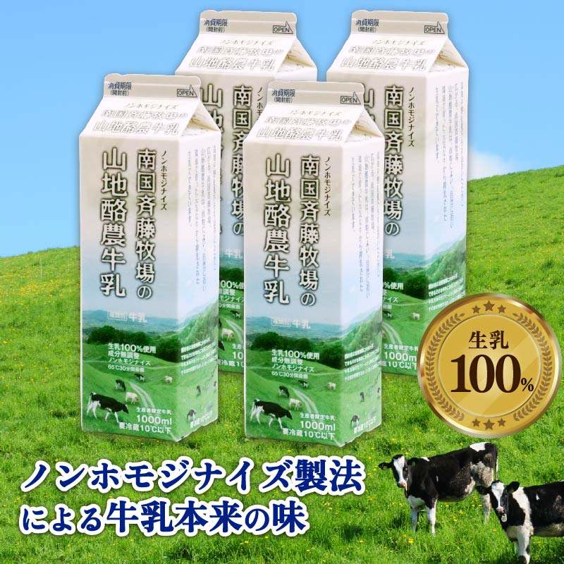 【12か月定期便】山地酪農牛乳1L×4本【バターができる 低温殺菌 生乳100％ 成分無調整牛乳 ノンホモジナイズ製法 お菓子作り ぎゅうにゅう ミルク 南国斉藤牧場 高知県 南国市】