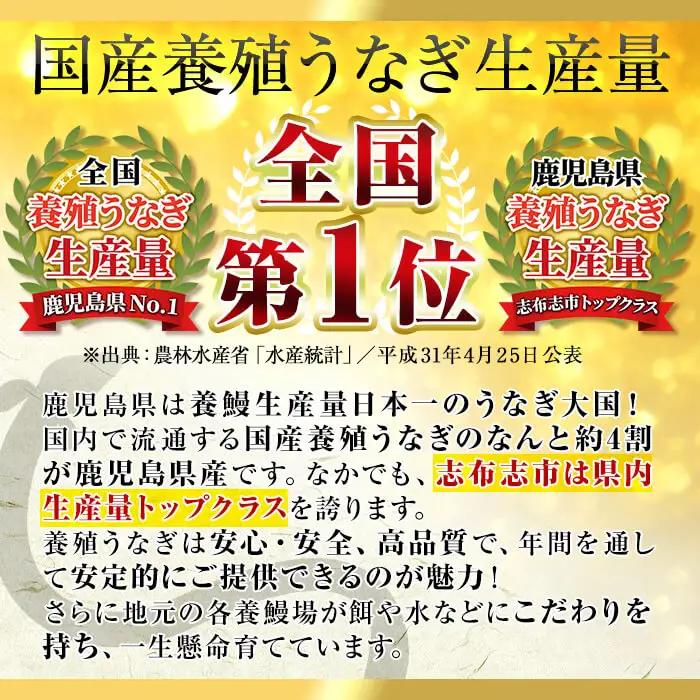うなぎの大楠＜中＞10尾セット計1.3kg(130g×10) うなぎ 鰻 ウナギ 10尾 国産 九州産 蒲焼き かばやき 冷凍 うな重 ひつまぶし タレ 山椒 真空パック ランキング 人気 e9-00