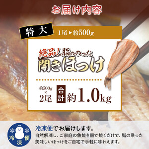 絶品脂ののった 北海道産 開きほっけ 約1kg (約500g×2尾セット) | ほっけ_01700