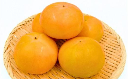 
内子町産　富有柿　2.2kg みきゃん箱
