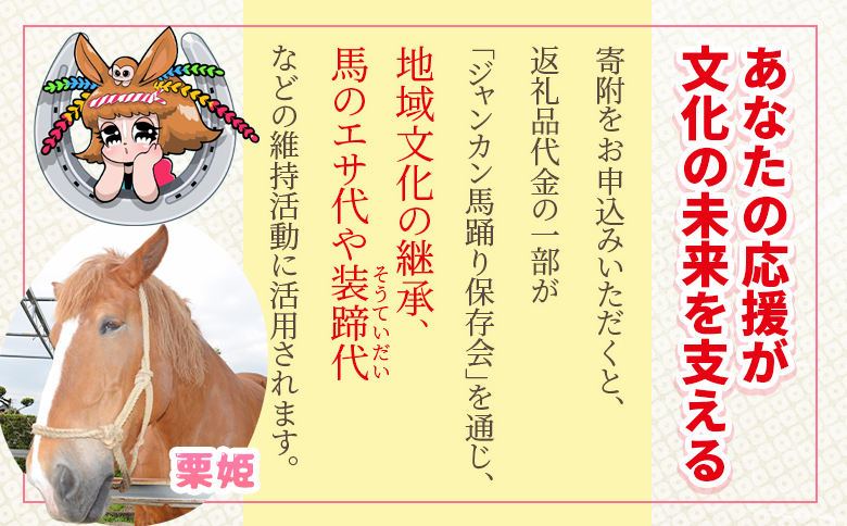 ＜地域の祭りを彩る ジャンカン馬 栗姫を応援！オリジナルキャラクタージャンカちゃんグッズ付（ハンカチ3枚）＞寄附 寄付 お礼の品 返礼品あり 地域貢献 伝統文化 文化継承 ふるさと 応援プロジェクト 