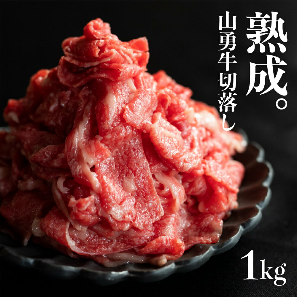 【ふるさと納税】《在庫限りで終了》【訳あり】飛騨牛 切り落とし 1kg 山勇牛 小間切れ こまぎれ 切落し 訳アリ わけあり ワケアリ 不揃い 牛 肉 牛肉 国産牛 黒毛和牛 牛丼 焼肉 冷蔵 2024年 時間指定 飛騨牛 飛騨市［Q2295xch］20000円