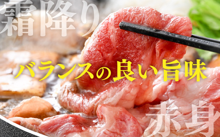 神戸牛 ブリスケ 500g  / 神戸牛