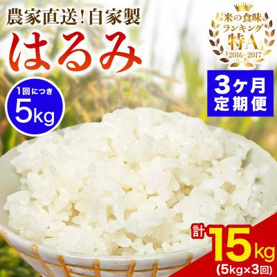 ふるさと納税 伊勢原市 【毎月定期便】伊勢原産 精米はるみ5kg 農家直送!亀井さんちのうんめぇ自家製米全3回