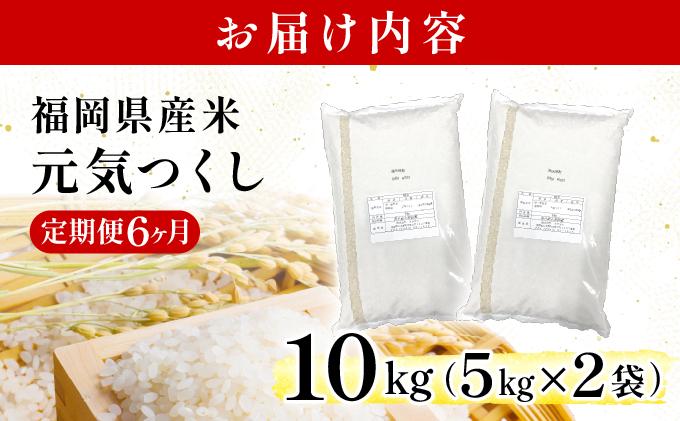 【6ヶ月定期便】福岡県産米 元気つくし 10kg 令和7年産 ※北海道・沖縄・離島は配送不可【精米 7年産 国産 福岡県産 お米 ブランド米 10kg げんきつくし】CY012sub6