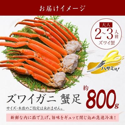 ふるさと納税 弟子屈町 【2025年7月中旬発送】【のし付】ズワイガニ足 約800g 2-3人前 北海道 弟子屈 2931 |  | 03