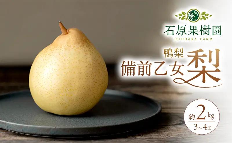 梨 フルーツ 備前乙女梨 鴨梨 岡山県産 梨【3～4玉 約2kg】【先行予約】